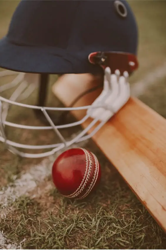 Cricket
